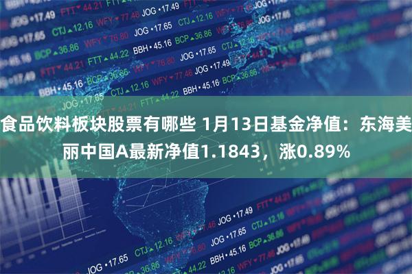 食品饮料板块股票有哪些 1月13日基金净值：东海美丽中国A最新净值1.1843，涨0.89%