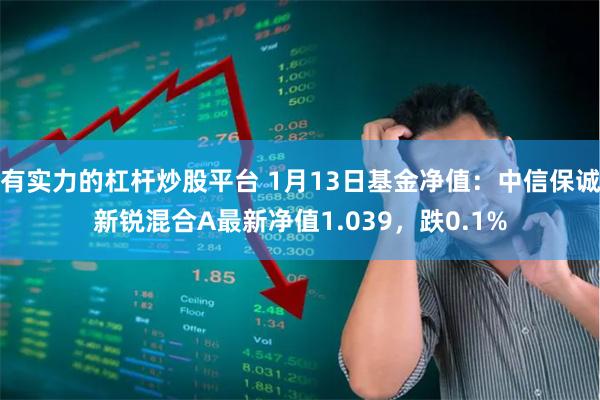 有实力的杠杆炒股平台 1月13日基金净值：中信保诚新锐混合A最新净值1.039，跌0.1%