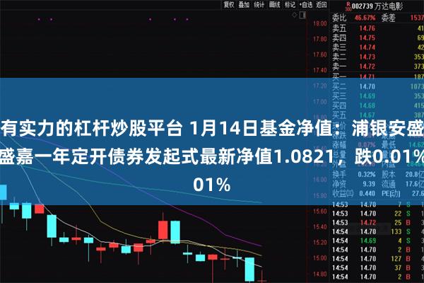 有实力的杠杆炒股平台 1月14日基金净值：浦银安盛盛嘉一年定开债券发起式最新净值1.0821，跌0.01%